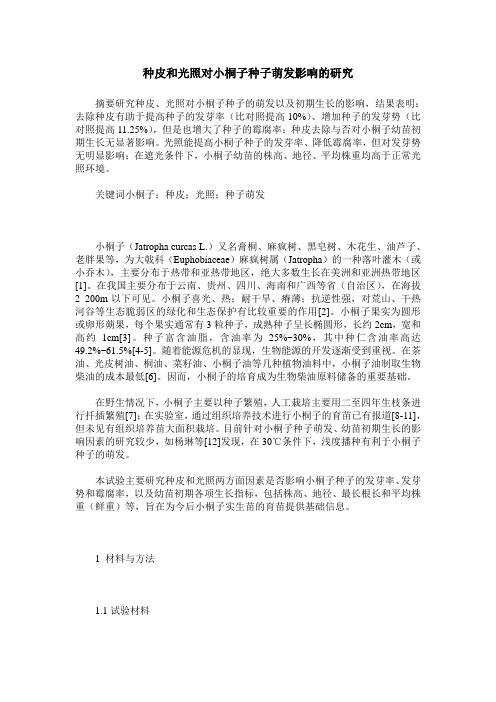 种皮和光照对小桐子种子萌发影响的研究