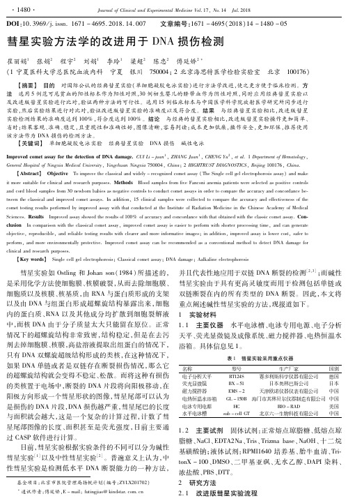 彗星实验方法学的改进用于DNA损伤检测