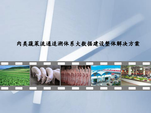 肉类蔬菜流通追溯体系大数据建设整体解决方案