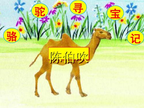 骆驼寻宝记PPT30(微课件) 语文版