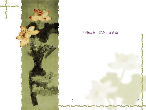 胆脂瘤中耳炎护理查房ppt课件