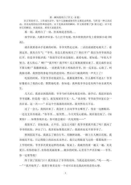 那一瞬间我明白了作文(5篇)