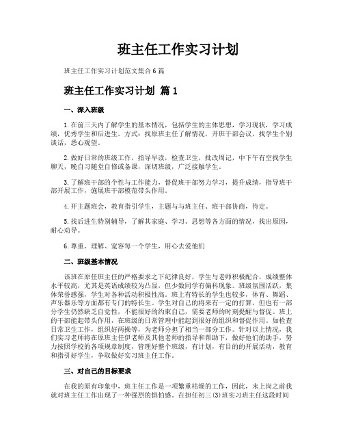 班主任工作实习计划