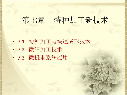 特种加工技术 (6)