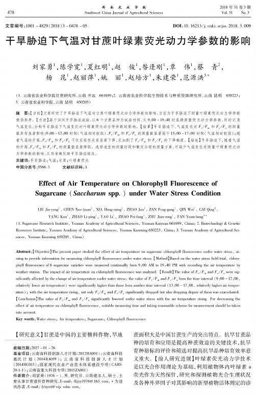 干旱胁迫下气温对甘蔗叶绿素荧光动力学参数的影响