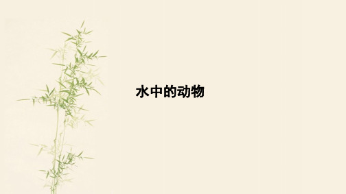 2018春苏科版七年级生物下册第五单元第10章同步教学课件：5.10.1水中的动物 (共42张PPT)