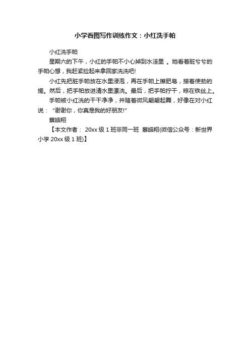 小学看图写作训练作文：小红洗手帕