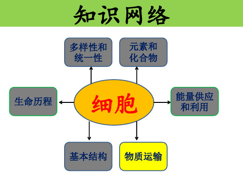 高三生物一轮复习人教版细胞的物质输入和输出