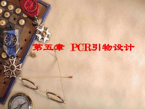 第五章 PCR引物设计