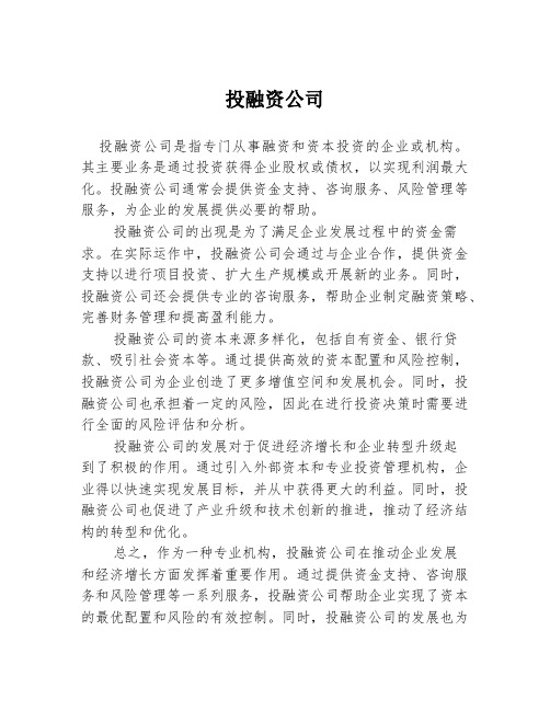 投融资公司