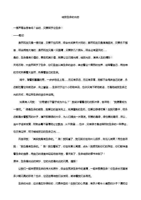 绽放生命的光芒