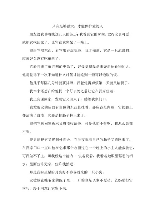 只有足够强大才能保护爱的人-作文