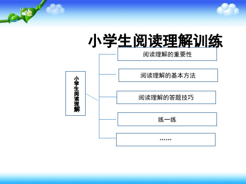 小升初小学生阅读理解训练课件(共22张PPT)