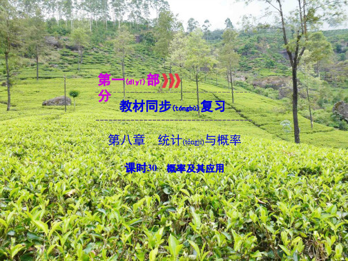 中考数学高分一轮复习 第一部分 教材同步复习 第八章 统计与概率 课时30 概率及其应用课件