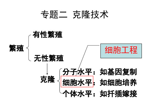 克隆技术