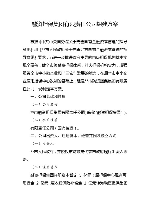 融资担保集团有限责任公司组建方案