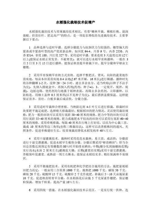 水稻强化栽培技术促增产