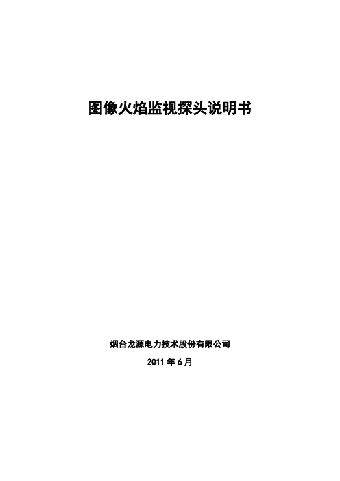 图像火焰监视探头说明书