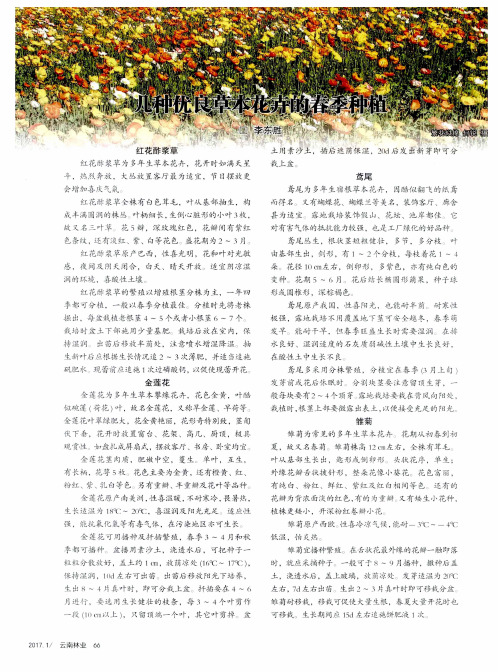 几种优良草本花卉的春季种植