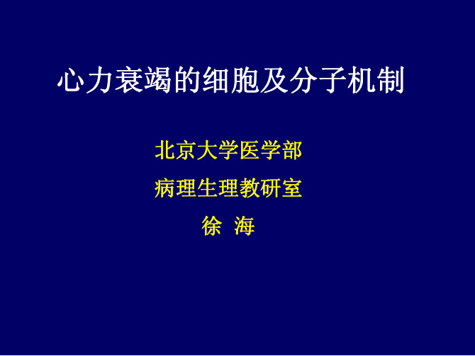 心力衰竭的细胞及分子机制