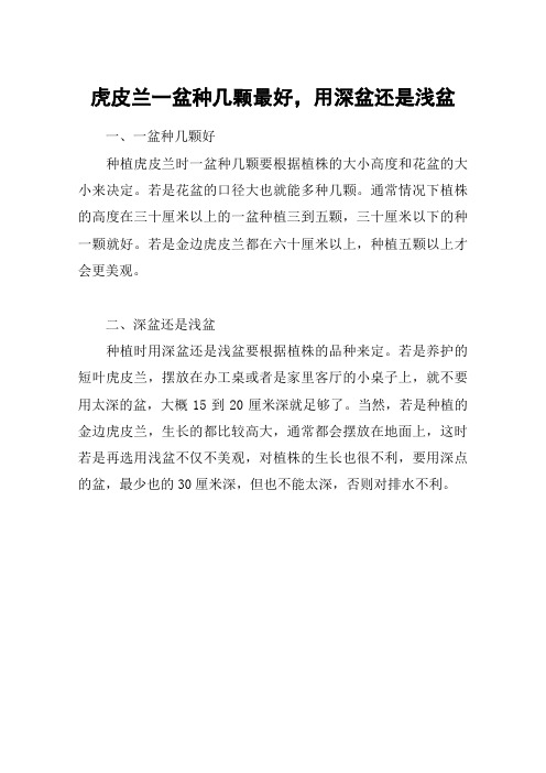 虎皮兰一盆种几颗最好,用深盆还是浅盆