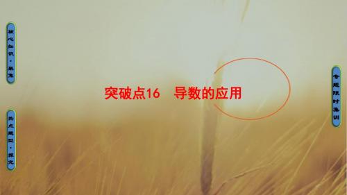 2018高考数学浙江专版二轮复习与策略课件 专题16 导数