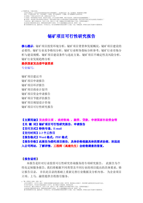 铋矿项目可行性研究报告