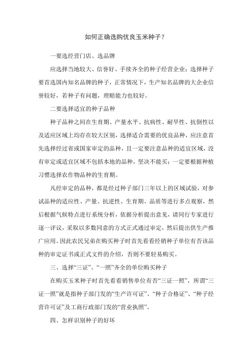 如何正确选购优良玉米种