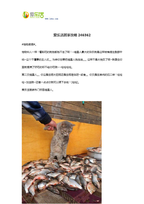 爱乐活居家攻略246362