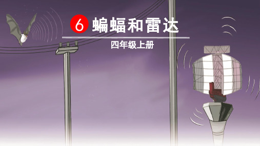 统编版语文四年级上册第6课《蝙蝠和雷达》优秀课件