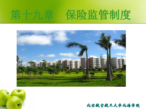 第十九章 保险监管制度