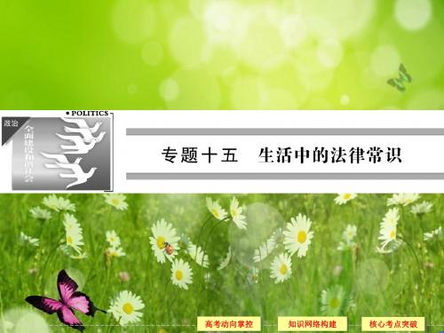高考政治(浙江专用)二轮复习知识整合专题课件：15 生活中的法律常识