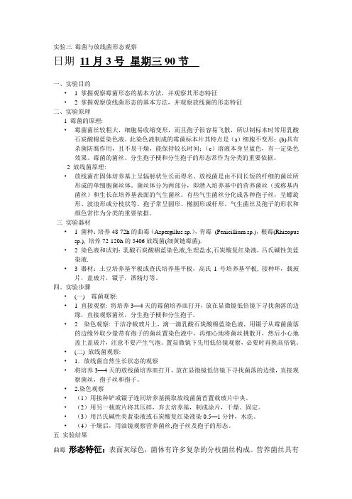实验三 霉菌与放线菌形态观察