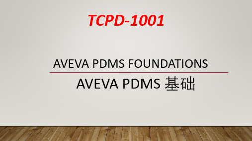 PDMS-01设备建模基础