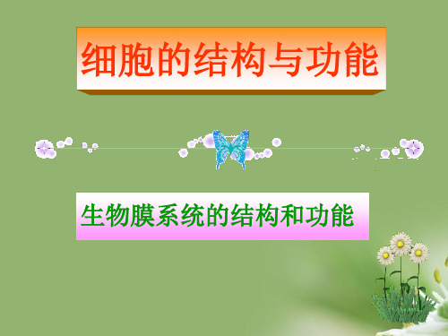 细胞膜——系统的边界ppt60 人教课标版精选教学PPT课件