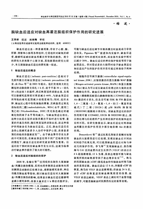 脑缺血后适应对缺血再灌注脑组织保护作用的研究进展
