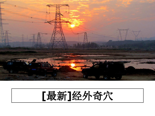 最新[最新]经外奇穴教学讲义ppt课件