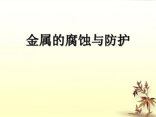 湘教版化学九下单元2《金属的锈蚀和防护》