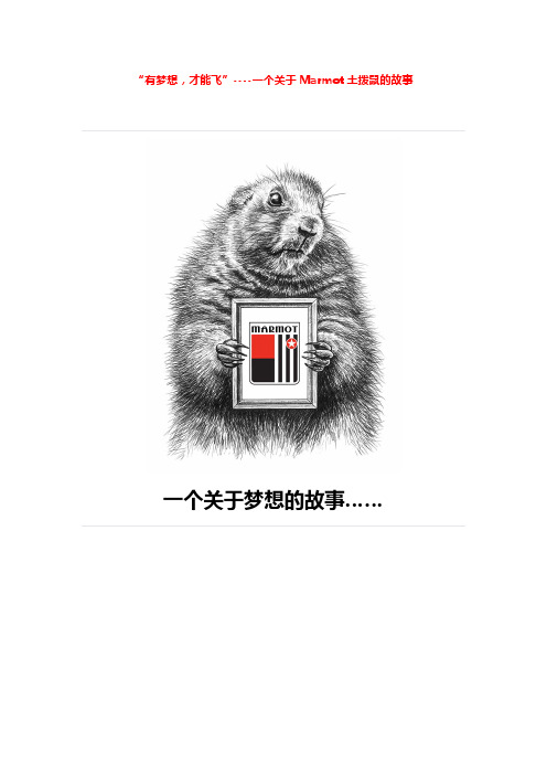 一个关于Marmot土拨鼠的故事