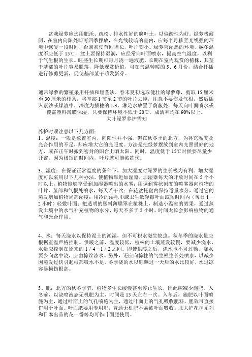 盆栽绿萝应选用肥沃