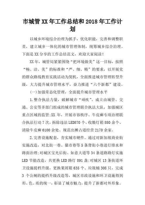 市城管XX年工作总结和2018年工作计划