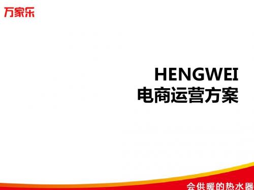 2015年度总结暨2016年淘宝天猫运营零售规划