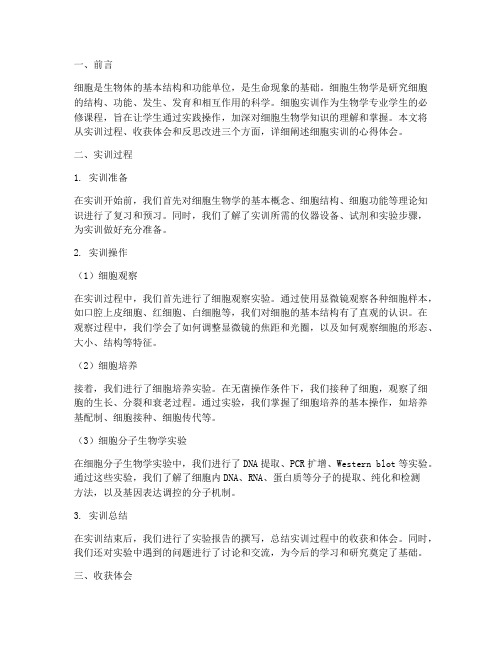 细胞实训报告心得体会