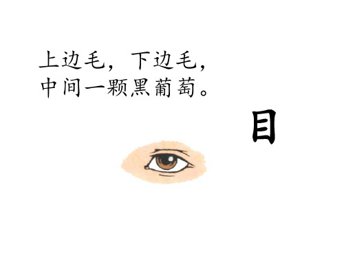 3口耳目