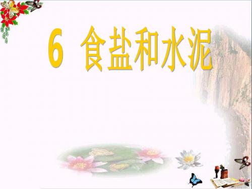 六年级科学上册食盐和水泥ppt课件10青岛版