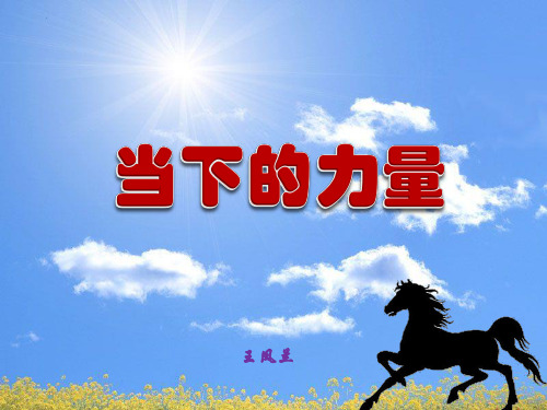 当下的力量