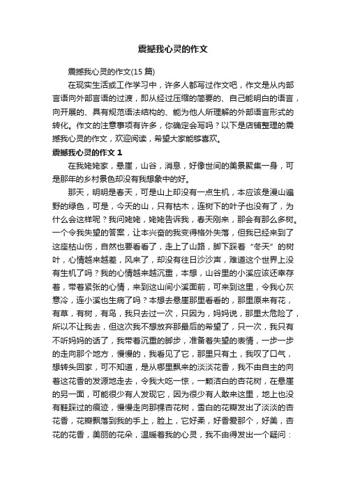 震撼我心灵的作文