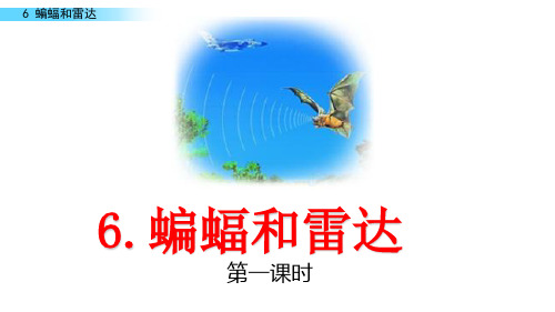 部编版四年级语文上册6 蝙蝠和雷达-优质课件