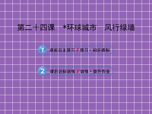 6.24环球城市风行绿墙课件(苏教版九年级上)