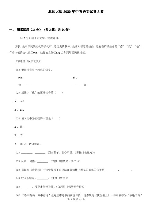北师大版2020年中考语文试卷A卷
